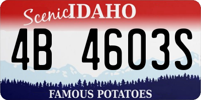 ID license plate 4B4603S