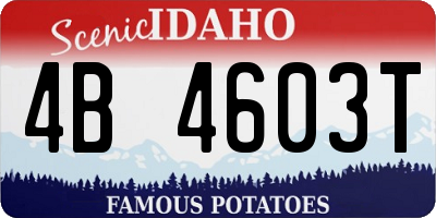 ID license plate 4B4603T