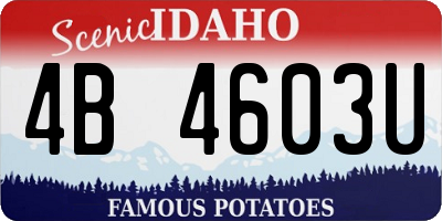 ID license plate 4B4603U