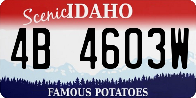 ID license plate 4B4603W