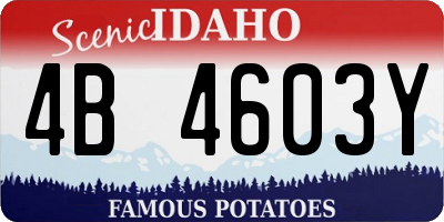 ID license plate 4B4603Y