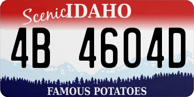 ID license plate 4B4604D