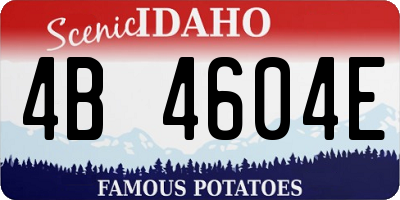 ID license plate 4B4604E