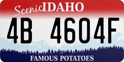 ID license plate 4B4604F