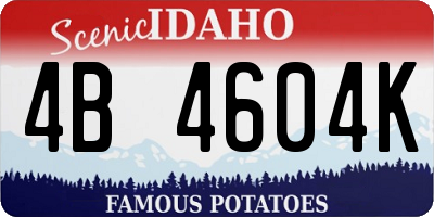 ID license plate 4B4604K