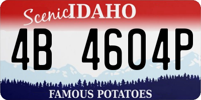 ID license plate 4B4604P