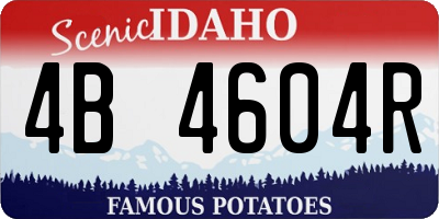 ID license plate 4B4604R