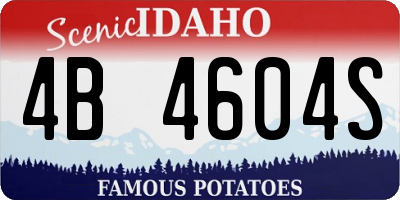 ID license plate 4B4604S