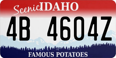 ID license plate 4B4604Z