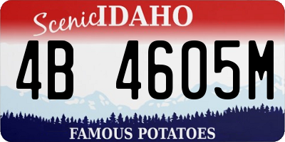 ID license plate 4B4605M