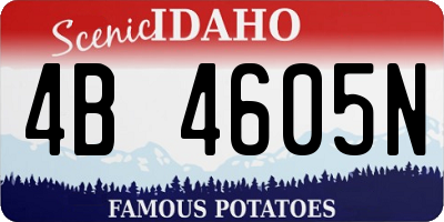ID license plate 4B4605N