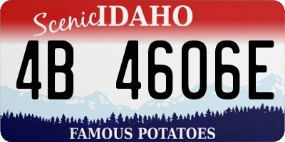 ID license plate 4B4606E