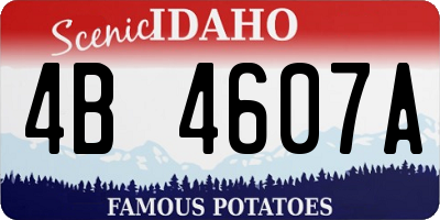 ID license plate 4B4607A