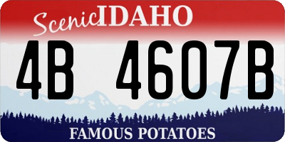 ID license plate 4B4607B