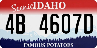 ID license plate 4B4607D