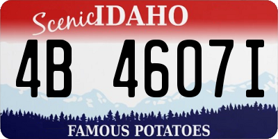 ID license plate 4B4607I