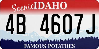 ID license plate 4B4607J