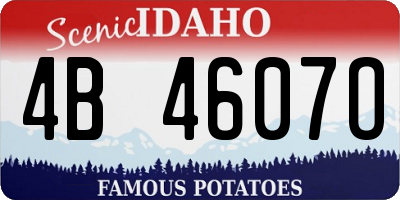 ID license plate 4B4607O
