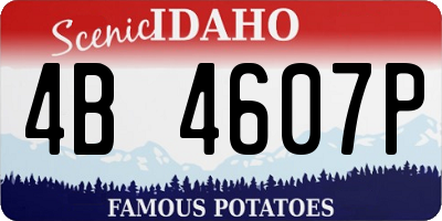 ID license plate 4B4607P