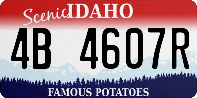 ID license plate 4B4607R
