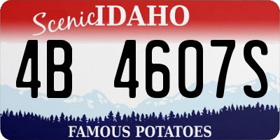 ID license plate 4B4607S