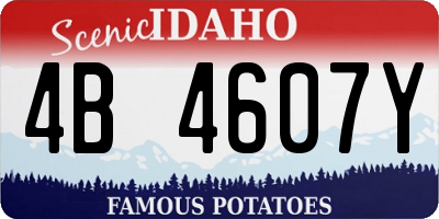 ID license plate 4B4607Y