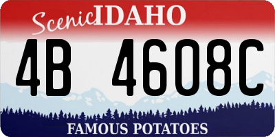 ID license plate 4B4608C