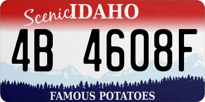 ID license plate 4B4608F