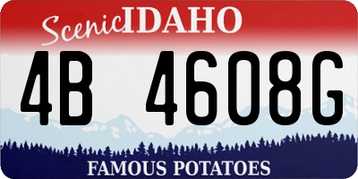 ID license plate 4B4608G