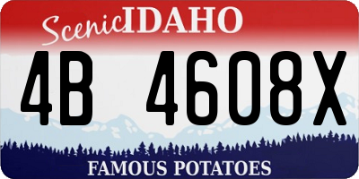 ID license plate 4B4608X