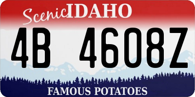 ID license plate 4B4608Z
