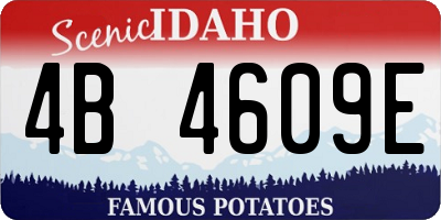 ID license plate 4B4609E
