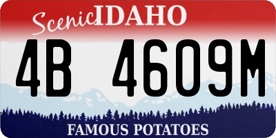 ID license plate 4B4609M