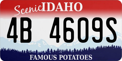 ID license plate 4B4609S