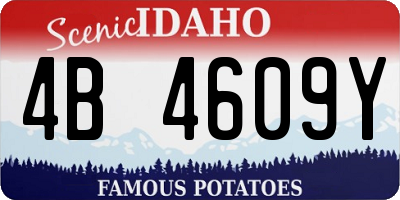 ID license plate 4B4609Y