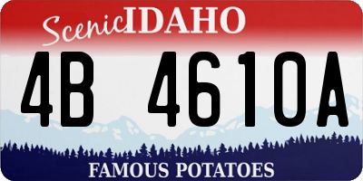 ID license plate 4B4610A