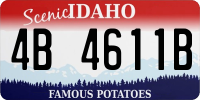 ID license plate 4B4611B
