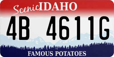 ID license plate 4B4611G