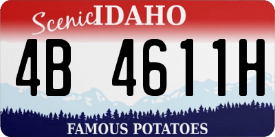ID license plate 4B4611H