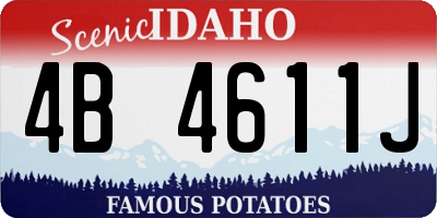 ID license plate 4B4611J