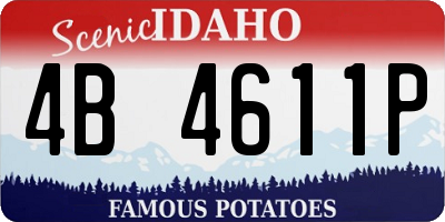 ID license plate 4B4611P