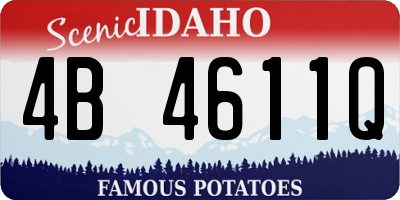 ID license plate 4B4611Q