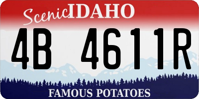 ID license plate 4B4611R
