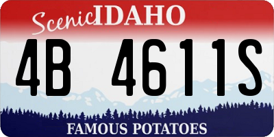 ID license plate 4B4611S