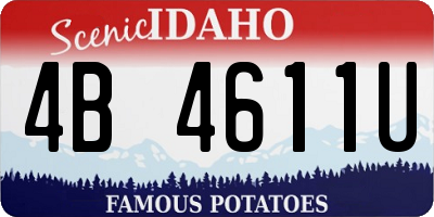 ID license plate 4B4611U