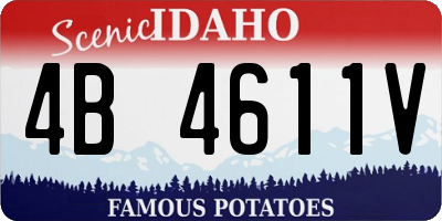 ID license plate 4B4611V