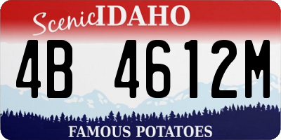 ID license plate 4B4612M