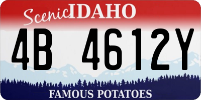 ID license plate 4B4612Y