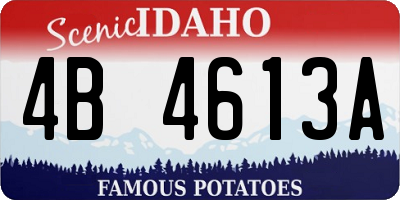 ID license plate 4B4613A