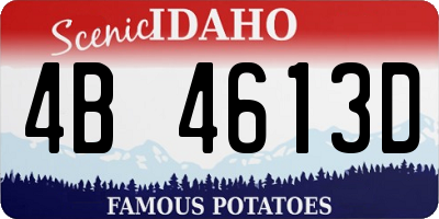ID license plate 4B4613D